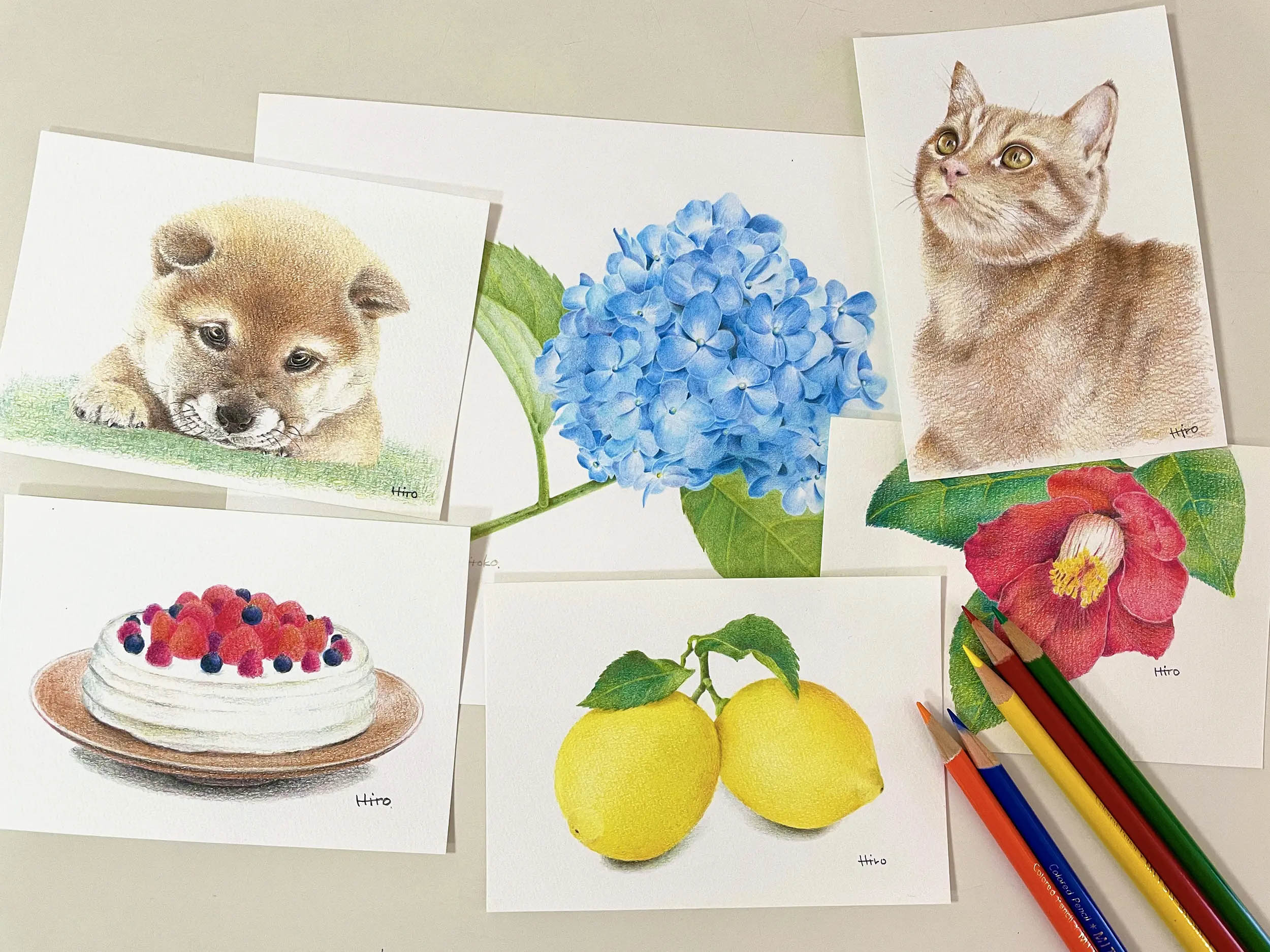 (カルチャー教室)色鉛筆画教室