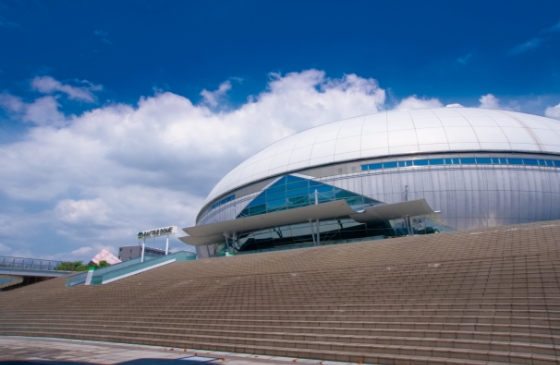 東和薬品RACTABドーム